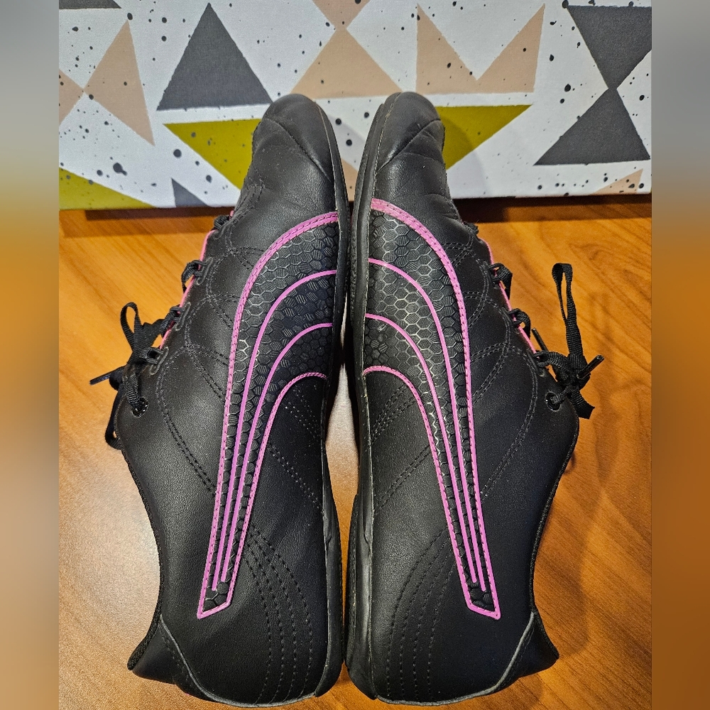 Puma Soleil v2